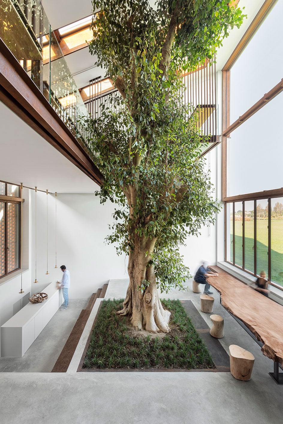 Carlo Ratti Associati designed a triple-height extension around a 60-year-old ficus tree for a renovated farmhouse near Parma, Italy