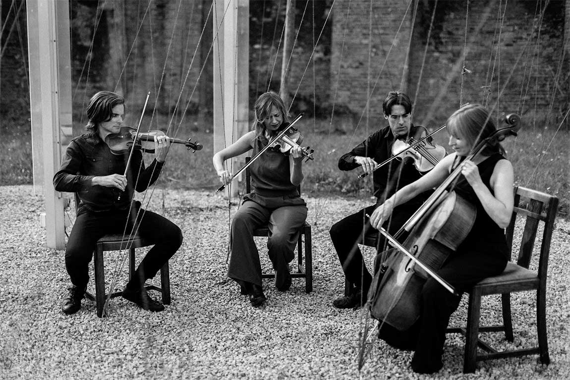 Black and white pooh of the Sacconi Quartet